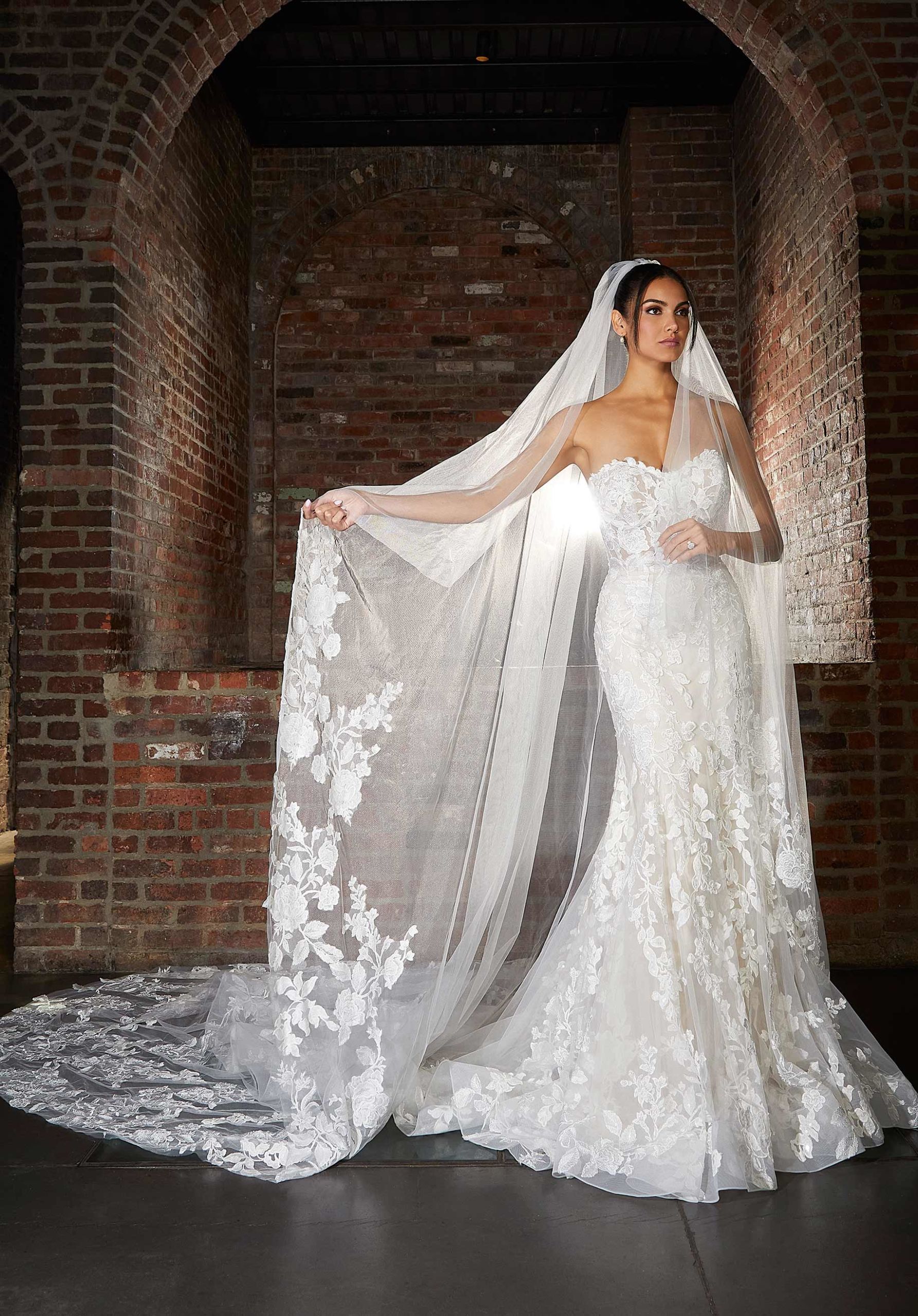 Cathedral Length Veil with Frosted Lace Appliqués